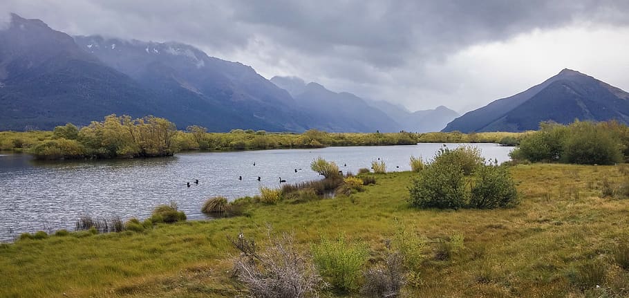 River Near Mountain, cloudy, daylight, ducks, grass, landscape HD wallpaper