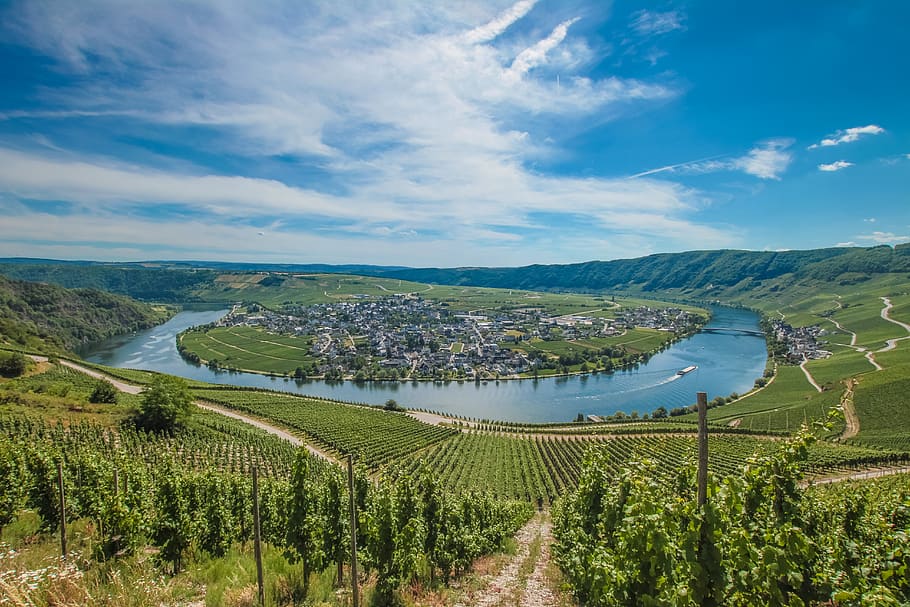germany, minheim, trees, river, mountains, wine, boat, scenics - nature HD wallpaper