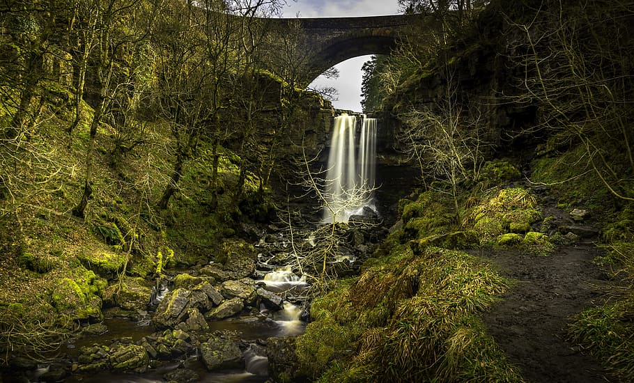 Waterfall Near Bridge Surrounded by Trees, arch bridge, creek, HD wallpaper