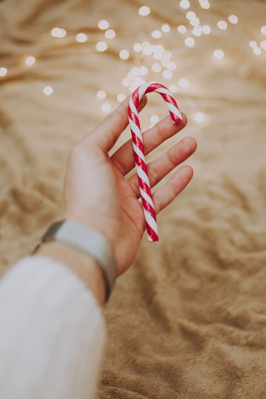 Person Holding Candy Cane, blurred background, close-up, colors HD wallpaper