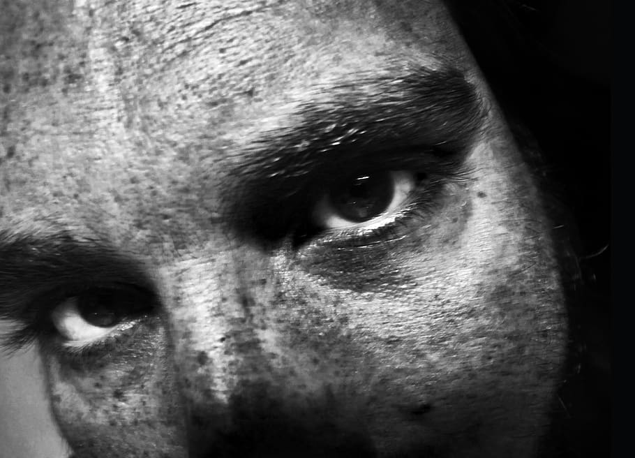 italy, milan, eye, close-up, body part, one animal, human body part HD wallpaper