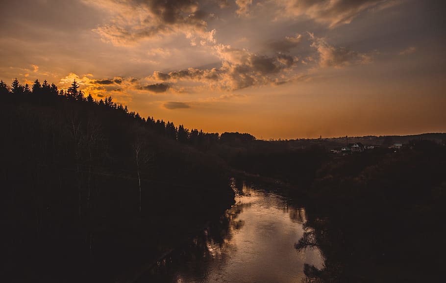 Silhouette of Trees Beside River, afterglow, backlit, clouds HD wallpaper