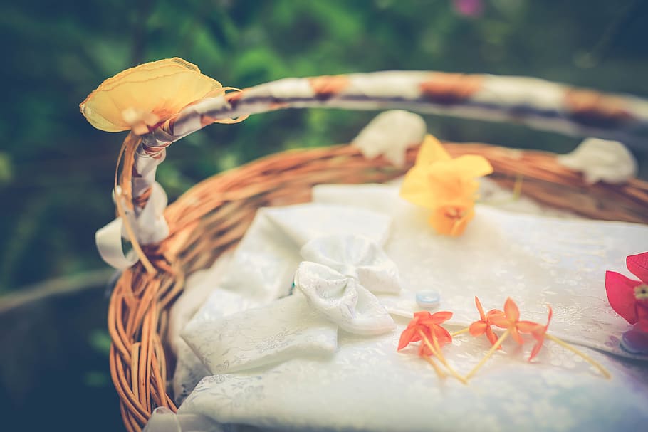 white button-up top in brown basket, flower, flora, plant, gladiolus HD wallpaper