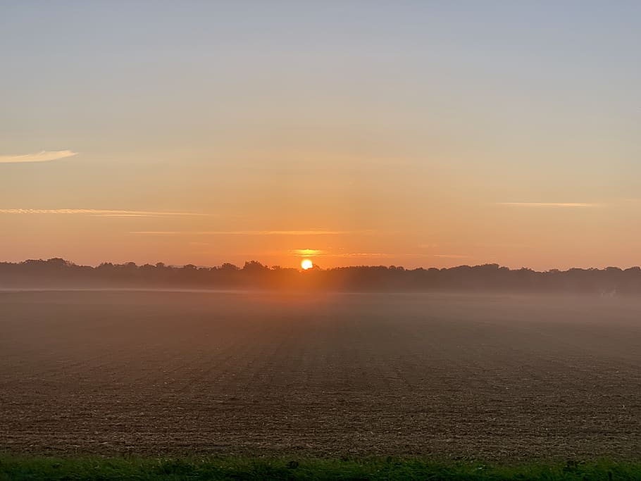 Golden Hour, backlit, cropland, dawn, farm, farmland, field, fog HD wallpaper
