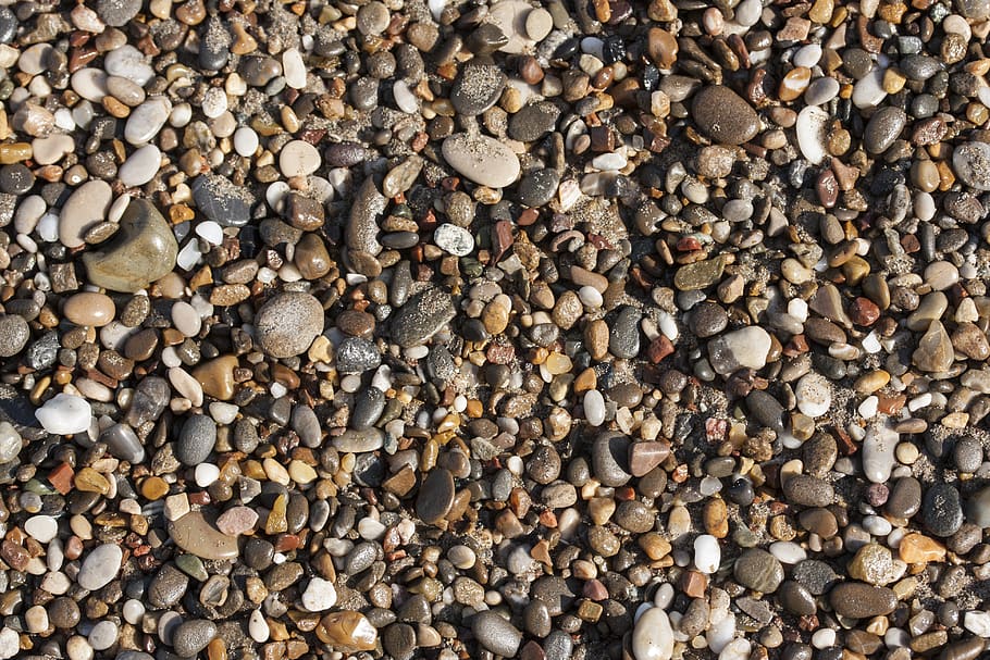 stack, texture, model, kennedy, dry, macro, nature, dried up HD wallpaper