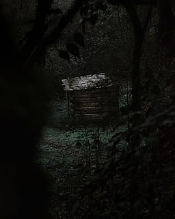 brown wooden house surrounded of trees, dark, cabin, forest, scary HD wallpaper
