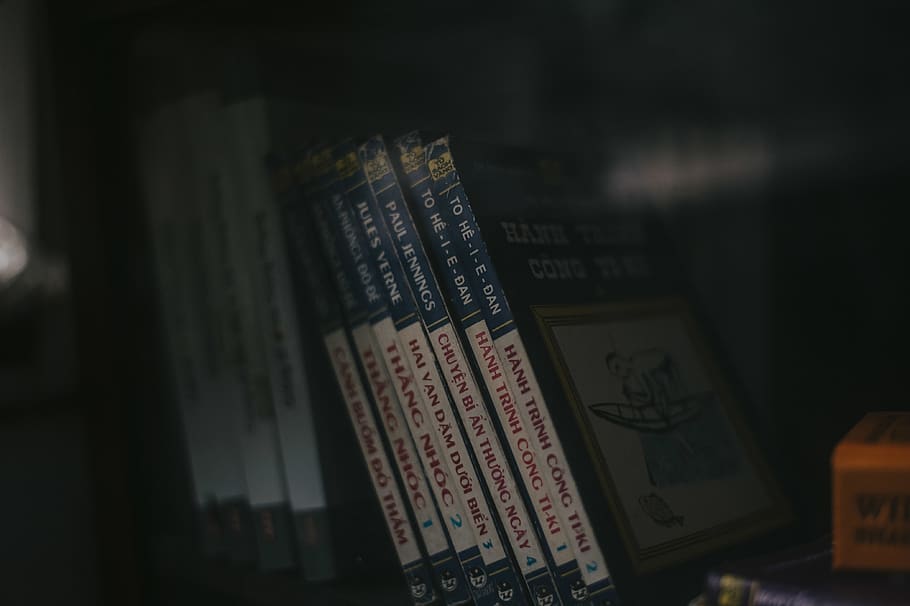 Assorted-title Textbook on Shelf, book bindings, book stack, books HD wallpaper