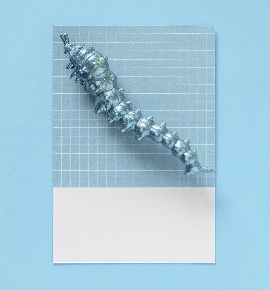 animal, blue, bug, card, centipede, colorful, concept, creative HD wallpaper
