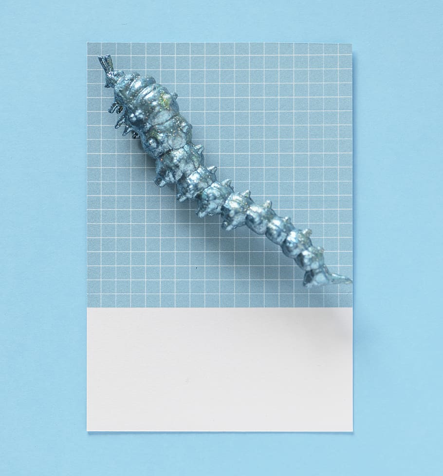 Photo of Caterpillar Figurine on Top of Blue and White Gingham Tile HD wallpaper