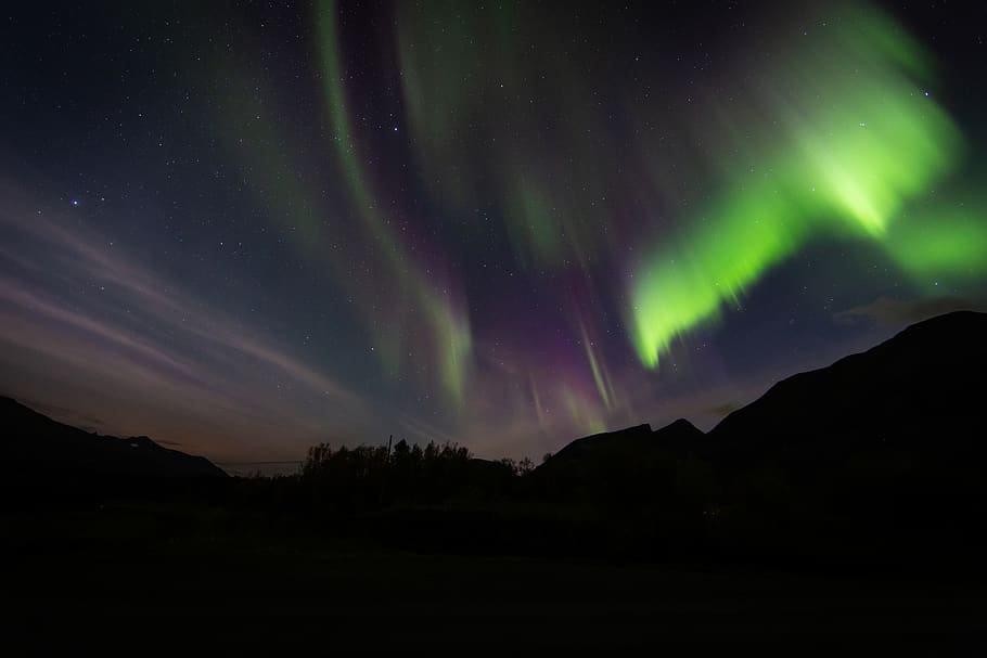 Northern Lights, nature, outdoors, night, aurora, sky, red sky HD wallpaper