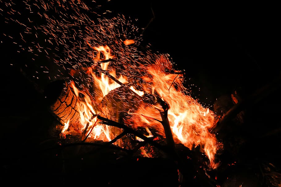 firing woods, fire, flame, exeter, united kingdom, camping, bonfire HD wallpaper