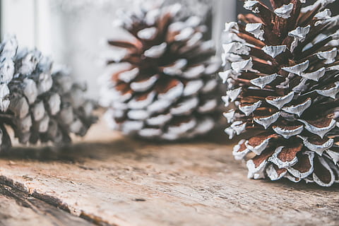 Three Pine Cones on Brown Surface, background, christmas, christmas decor HD wallpaper