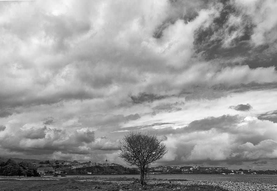 spain, castropol, clouds, trees, landscape, cloud - sky, plant HD wallpaper