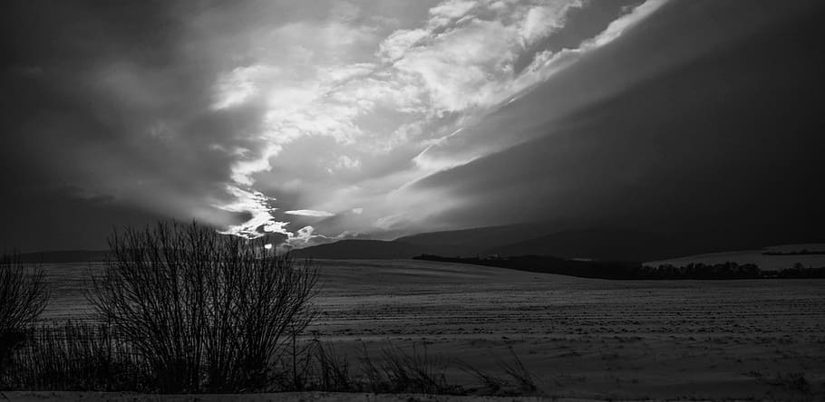 winter, shrubs, field, the sky, black and white, snow, cloud - sky HD wallpaper