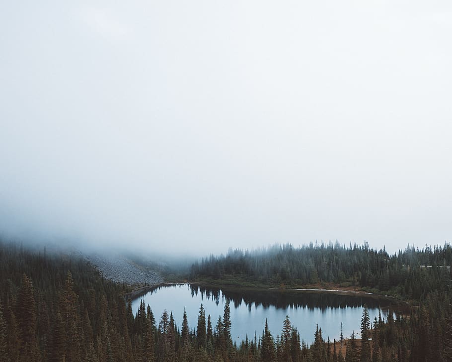 lake, water, tree, plant, nature, forest, reflection, mountain HD wallpaper