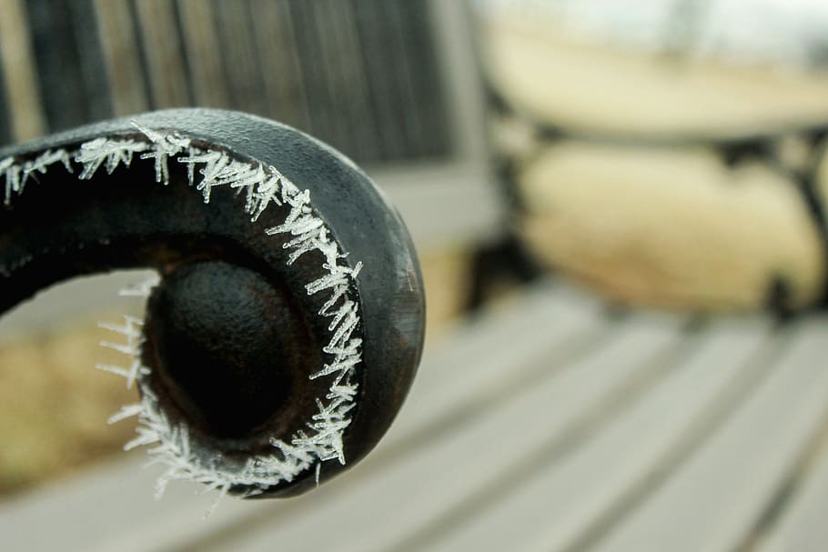 snake, reptile, animal, machine, seat, chair, curl, bench, frost HD wallpaper