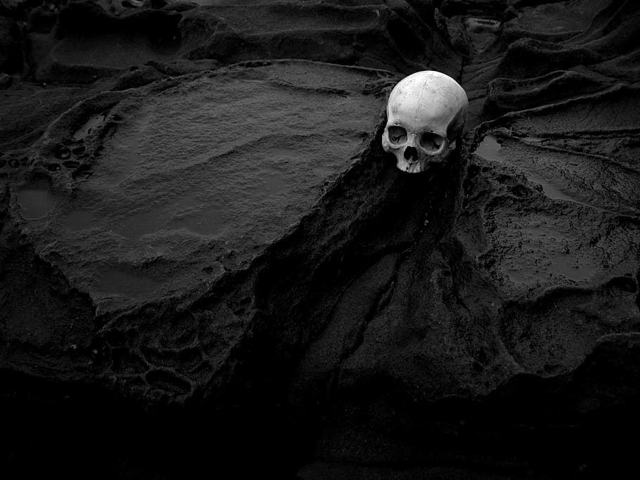 skull, human, human skull, death, tide pool, rocks, bandw, black and white HD wallpaper