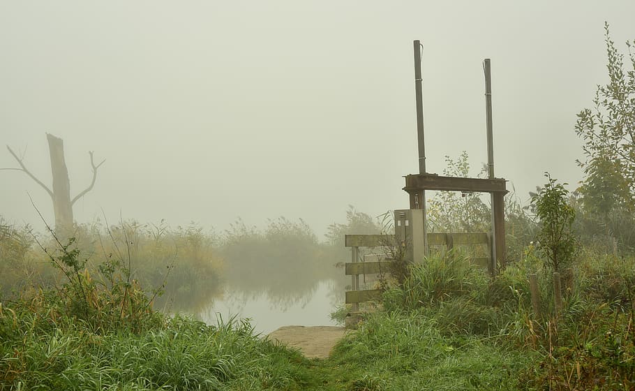 lock, fog, water, small, nature, moist, wetland, haze, river HD wallpaper