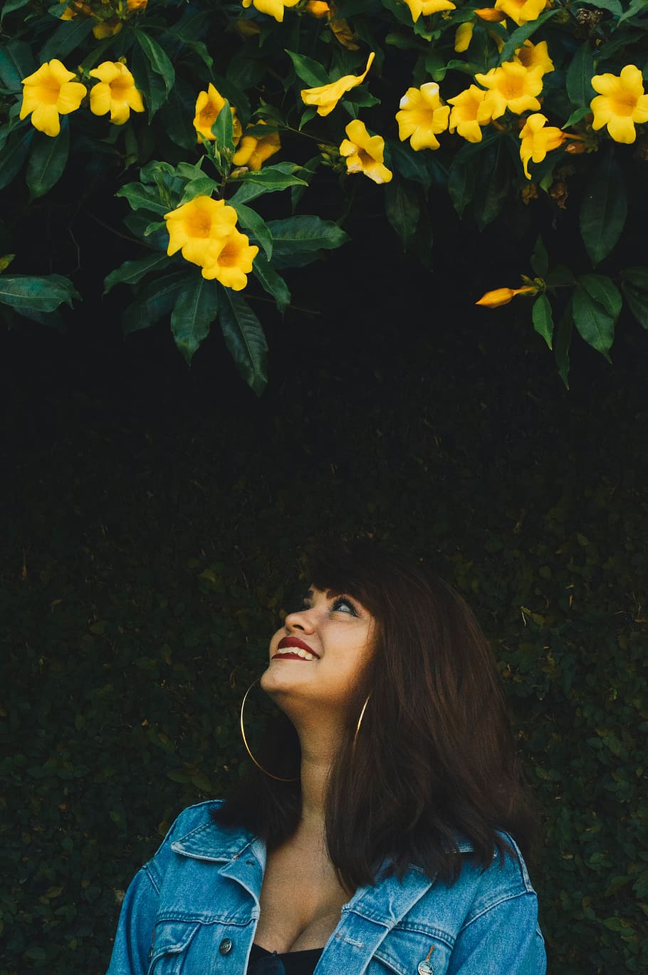 Woman Wearing Blue Denim Jacket, allamanda, beautiful, beauty HD wallpaper