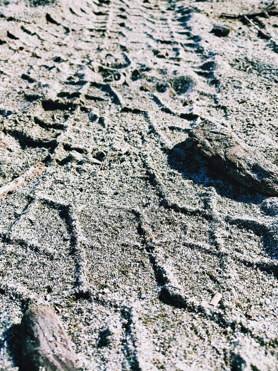 ground, rock, soil, rug, beach, tire, tracks, driftwood, pattern HD wallpaper