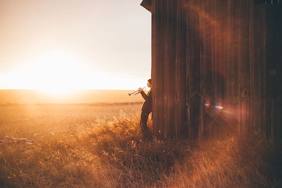 man playing trumpet, one person, lens flare, sunlight, land, sky HD wallpaper
