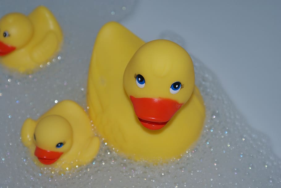 bath duck, toy, plastic, foam, fun, yellow, water, rubber duck HD wallpaper