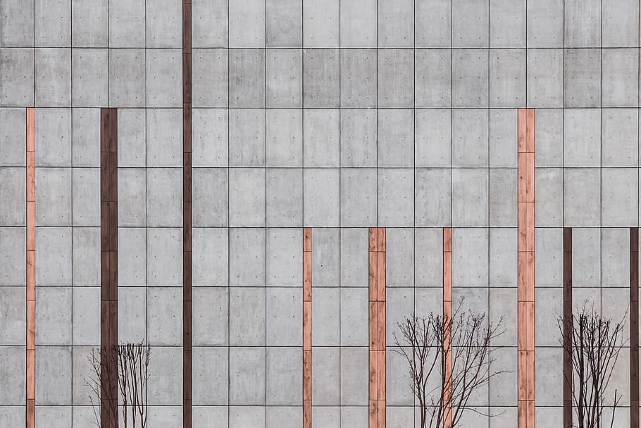 brown tree illustration, no people, pattern, wall - building feature HD wallpaper