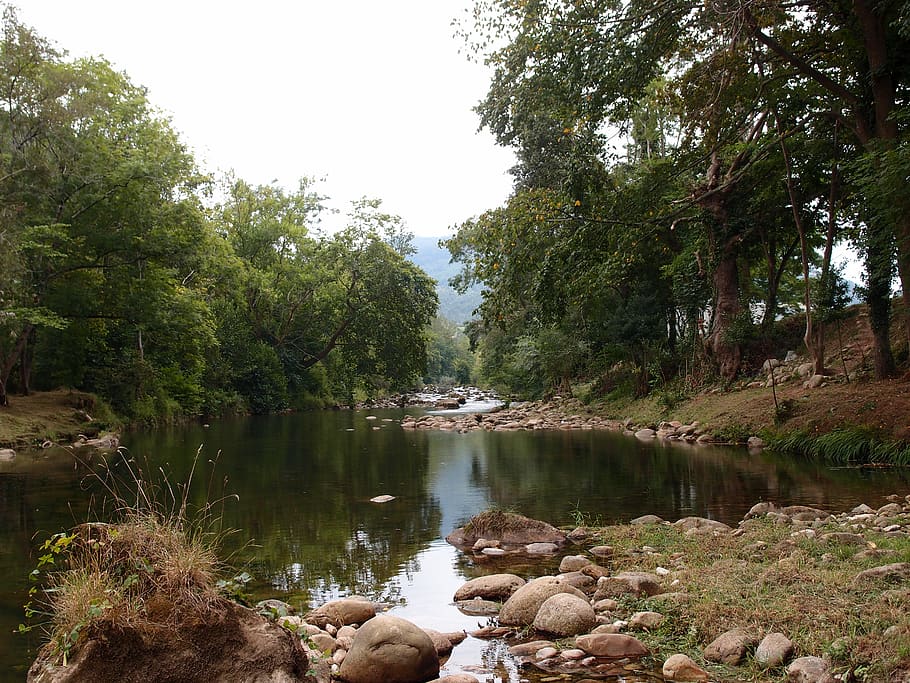 spain, cantabria, cades, water, plant, tree, beauty in nature HD wallpaper