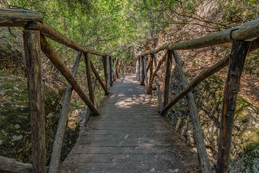 bridge, wood, railing, transition, forest, footpath, promenade HD wallpaper