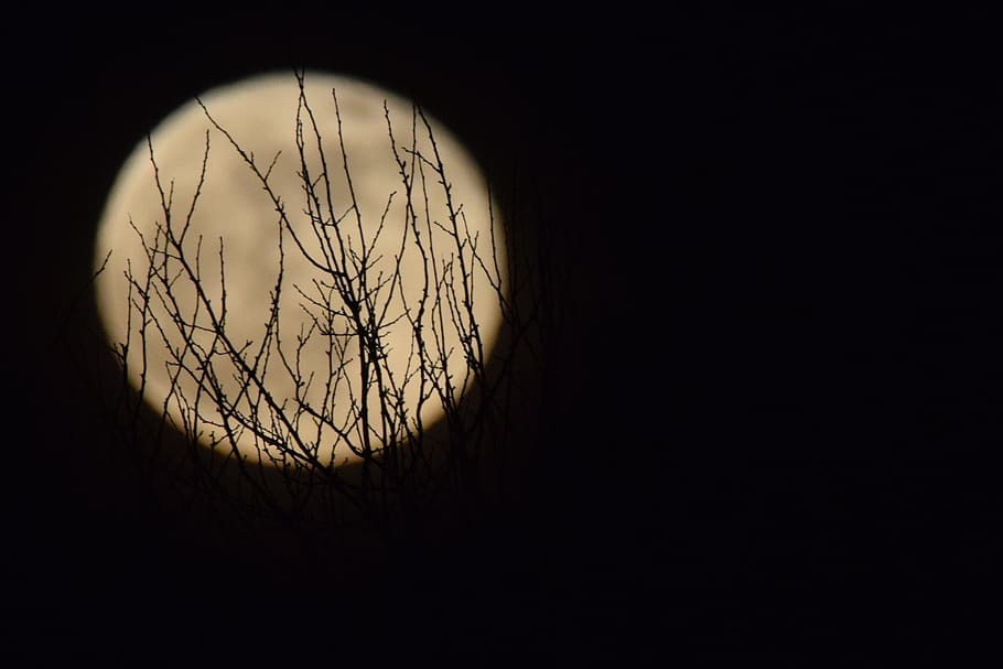 moon, full moon, moonlight, heaven, dark, nature, circle, geometric shape HD wallpaper