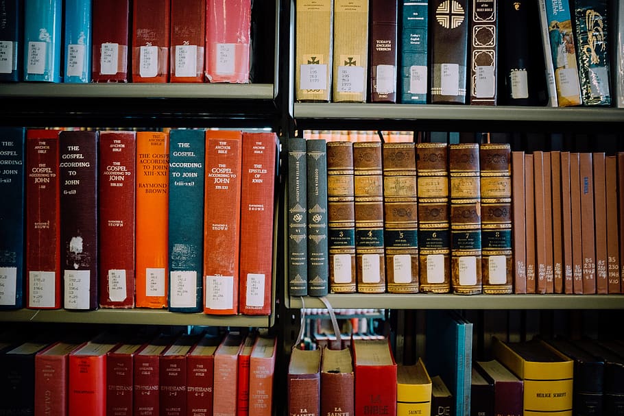 shelves, library, orange, books, red, blue, read, school, shelf HD wallpaper