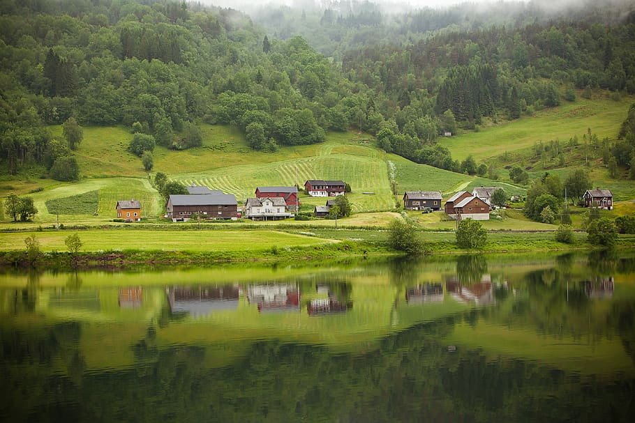 norway, hardangerfjorden, peaceful, reflection, green, country HD wallpaper