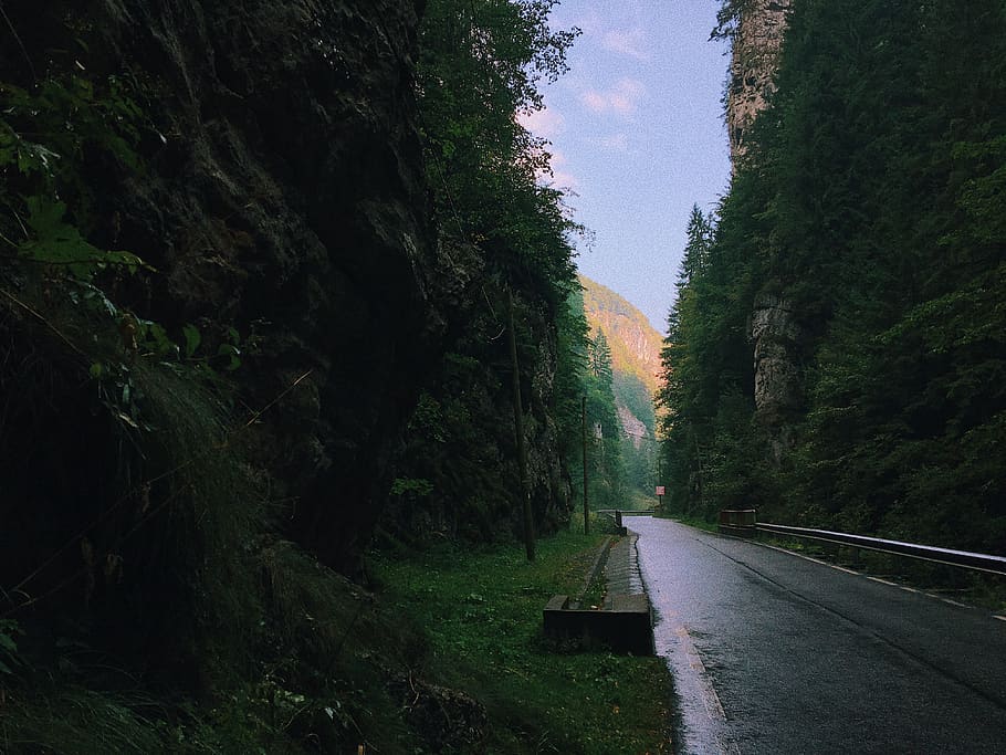 romania, dâmbovicioara, view, mountains, green, hill, iphone HD wallpaper