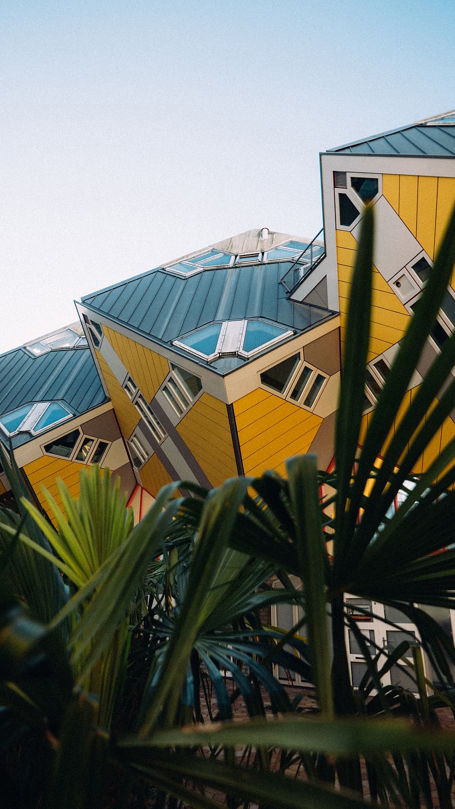 green-leafed plant, office building, rotterdam, architecture HD wallpaper