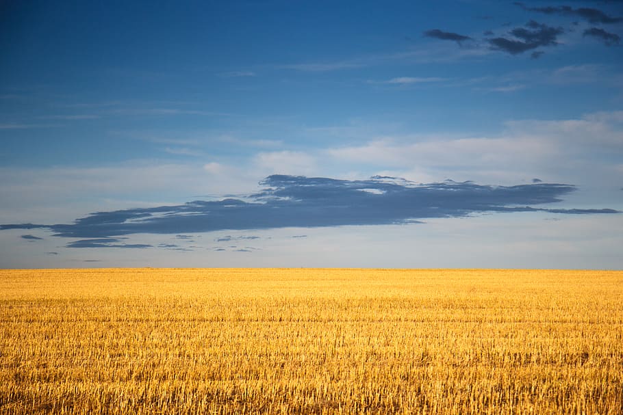 skyscape, blue, yellow, outdoor, cloud - sky, field, land, tranquil scene HD wallpaper