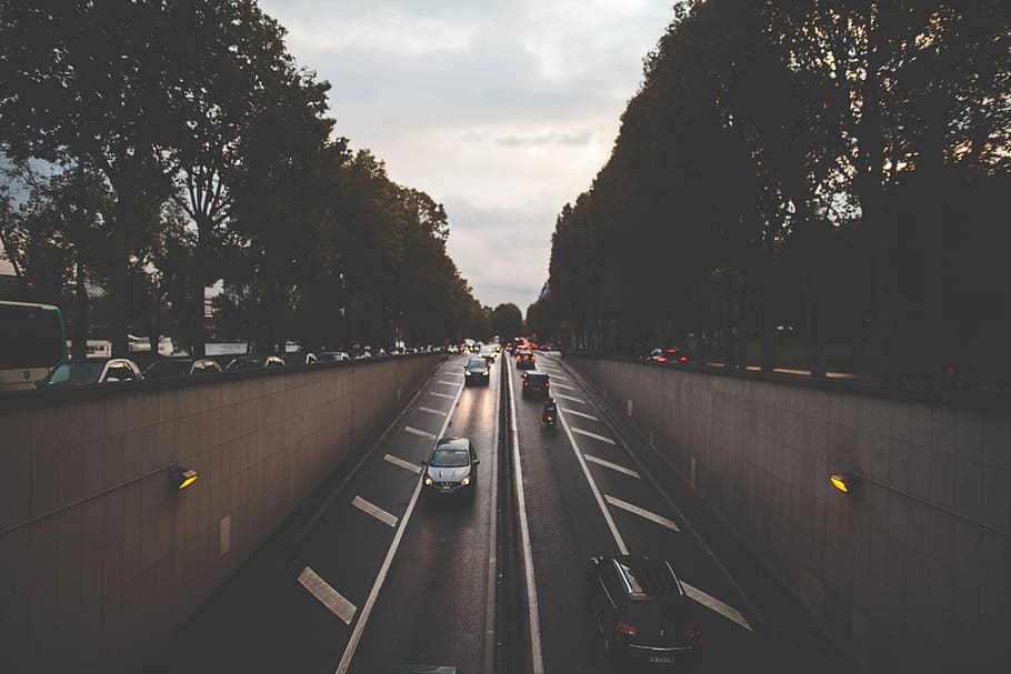 road, car, bus, transportation, vehicle, street, trees, lights HD wallpaper