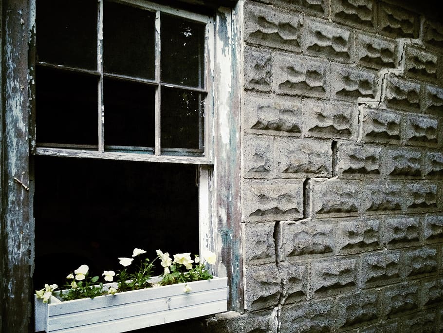 cracked, flower box, window box, broken, brick wall, brickwall HD wallpaper