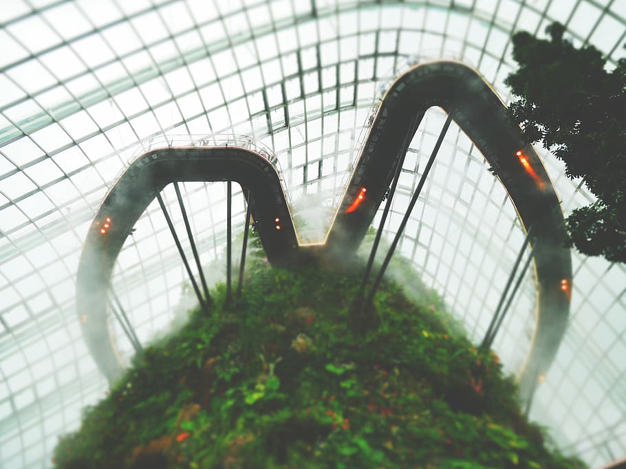 singapore, cloud forest, jungle, greenhouse, giant greenhouse, HD wallpaper