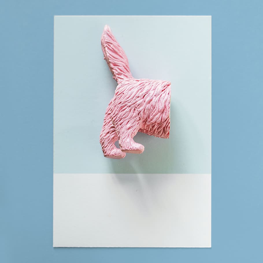 Pink Pinata Animal Body on Teal and White Surface, art, back HD wallpaper