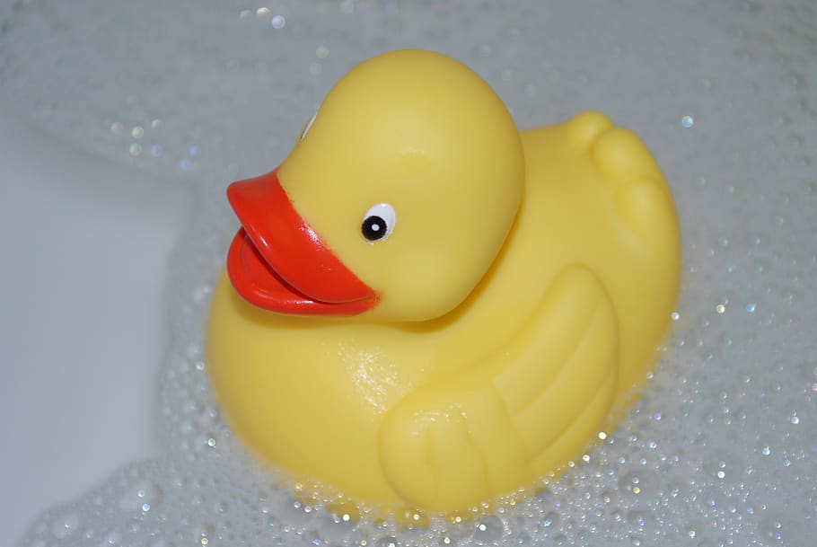duck, bath, yellow, plastic, rubber duck, toy, representation HD wallpaper