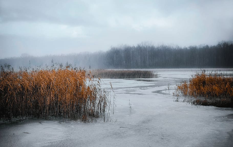 cold, ice, winter, frozen, snow, landscape, polar, frost, scenery HD wallpaper