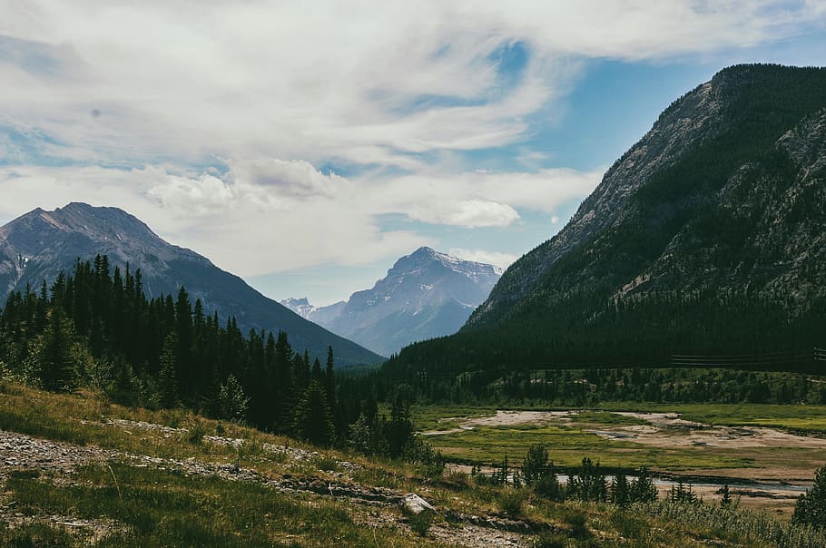 canada, kananaskis, mountain range, alberta, goats, layers HD wallpaper