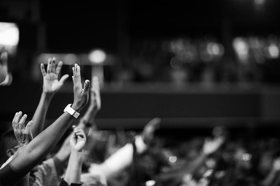 Grayscale Photography Of Hands Waving, audience, black and white
