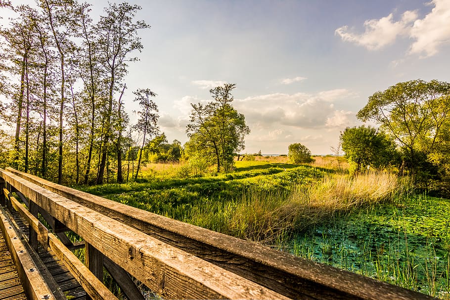 germany, dümmer, landscape, hdr, range, moor, sea, lake pond HD wallpaper