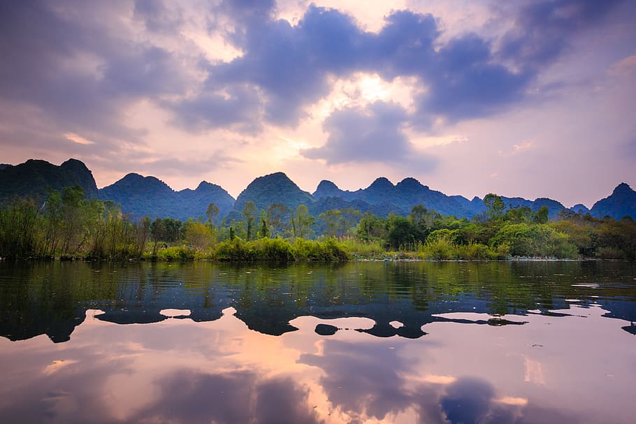 Landscape Photo of Trees and Body of Water, backlit, clouds, dawn HD wallpaper