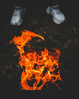 fire, flame, bonfire, clothing, apparel, animal, shoe, footwear HD wallpaper