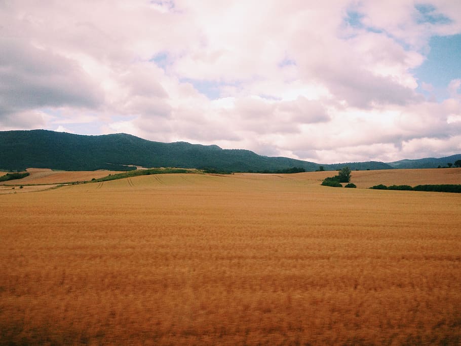 spain, summer, landscape, sky, environment, cloud - sky, scenics - nature HD wallpaper