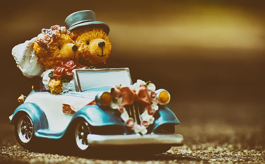 wedding, bear, figures, funny, invitation, greeting card, celebrate HD wallpaper