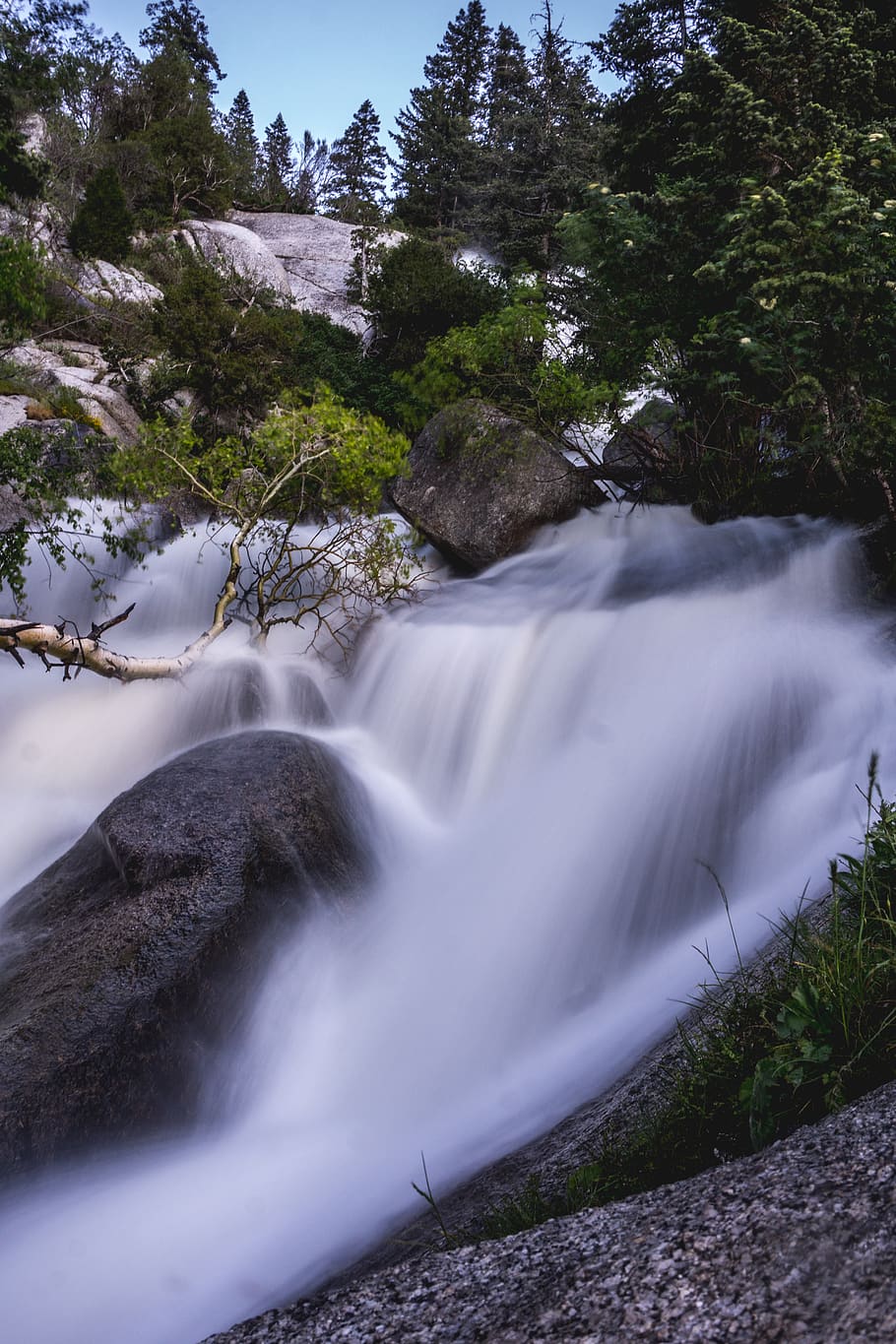 forest, water, trees, pines, river, stream, runoff, utah, hike HD wallpaper