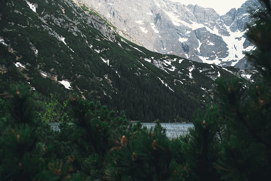 mountain, mountains, trees, fir tree, lake, height, height1600 HD wallpaper